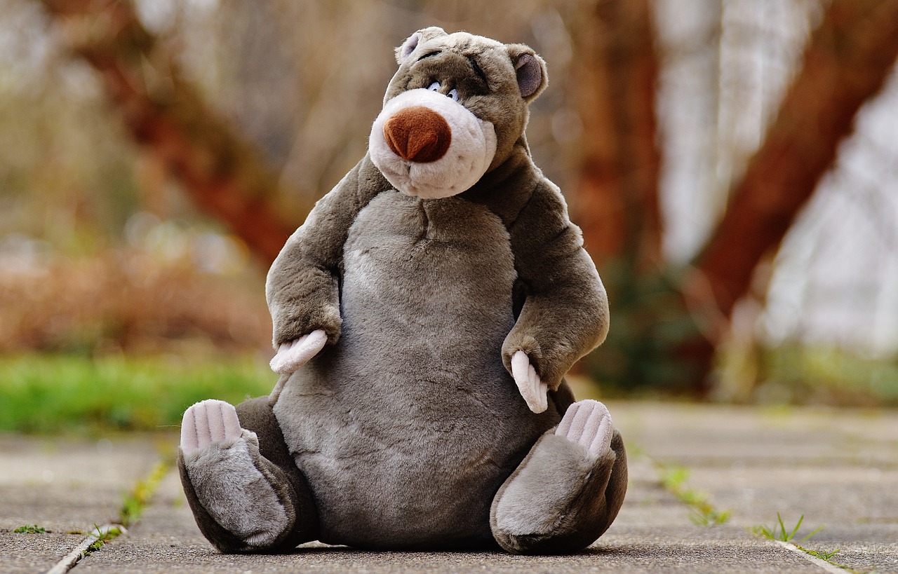 bear soft toy disney free photo