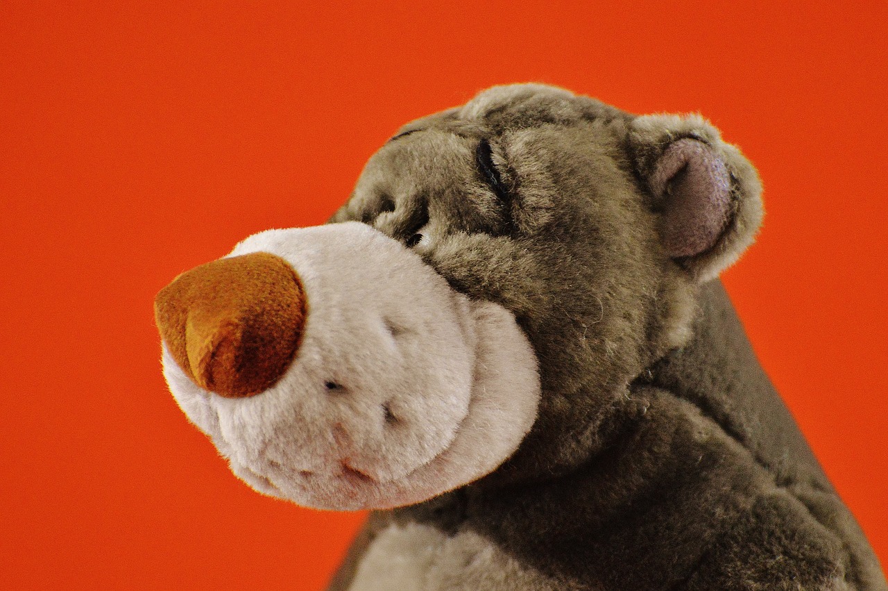 bear soft toy disney free photo