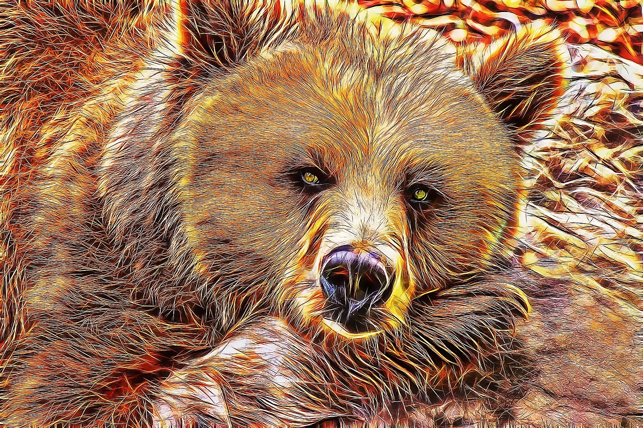 bear bear fractal bear art free photo