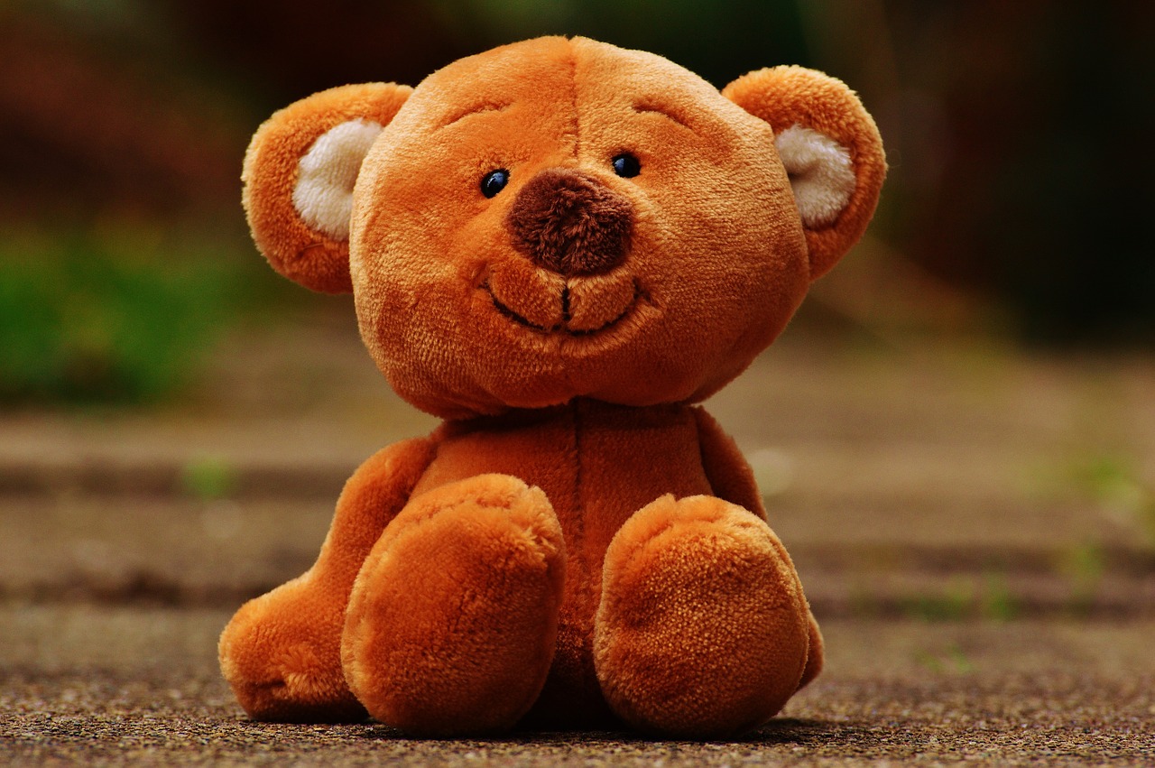 bear teddy soft toy free photo