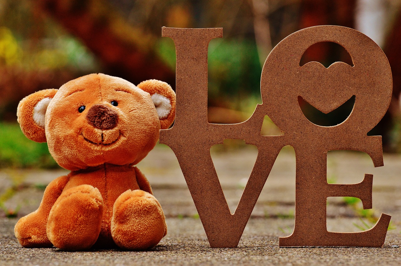 bear teddy love free photo