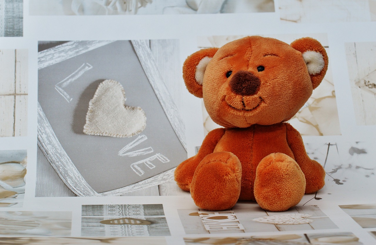 bear teddy cute free photo