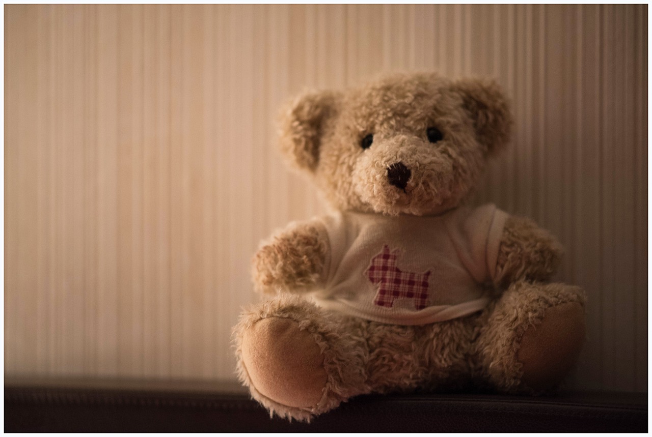 bear teddy children toys free photo