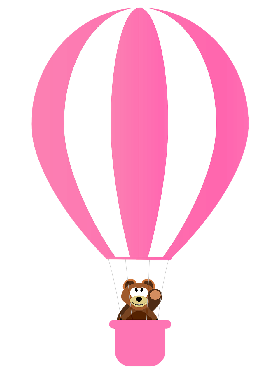 bear rosa balloon free photo
