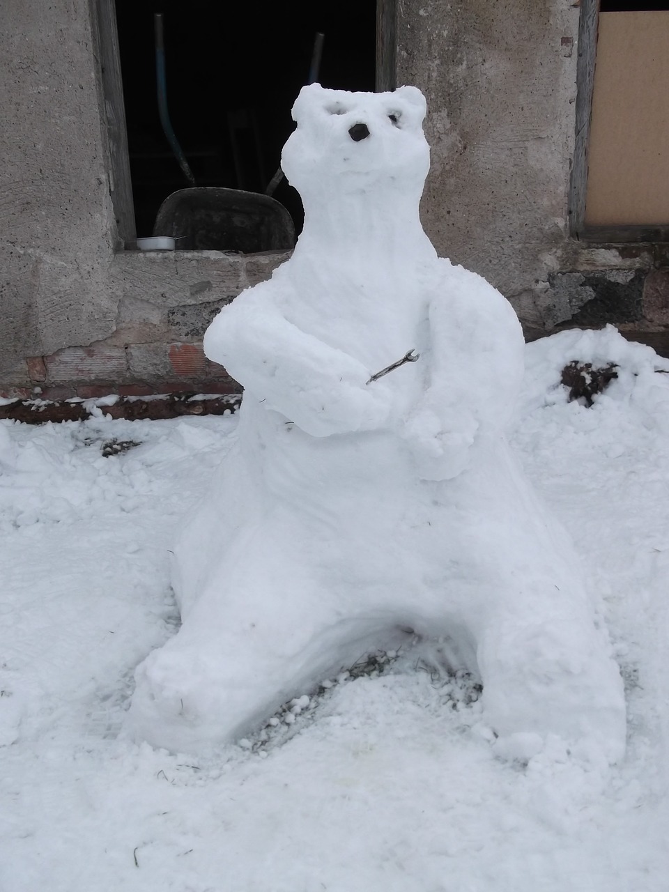 bear snow winter free photo