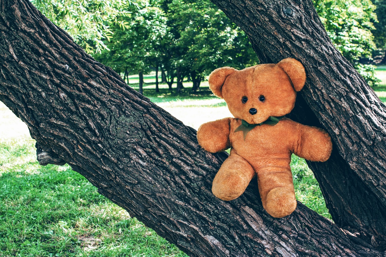bear teddy toy free photo
