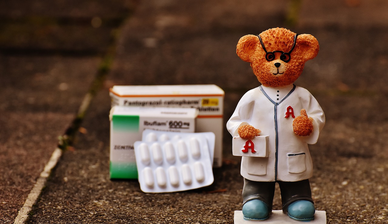 bear profession pharmacist free photo