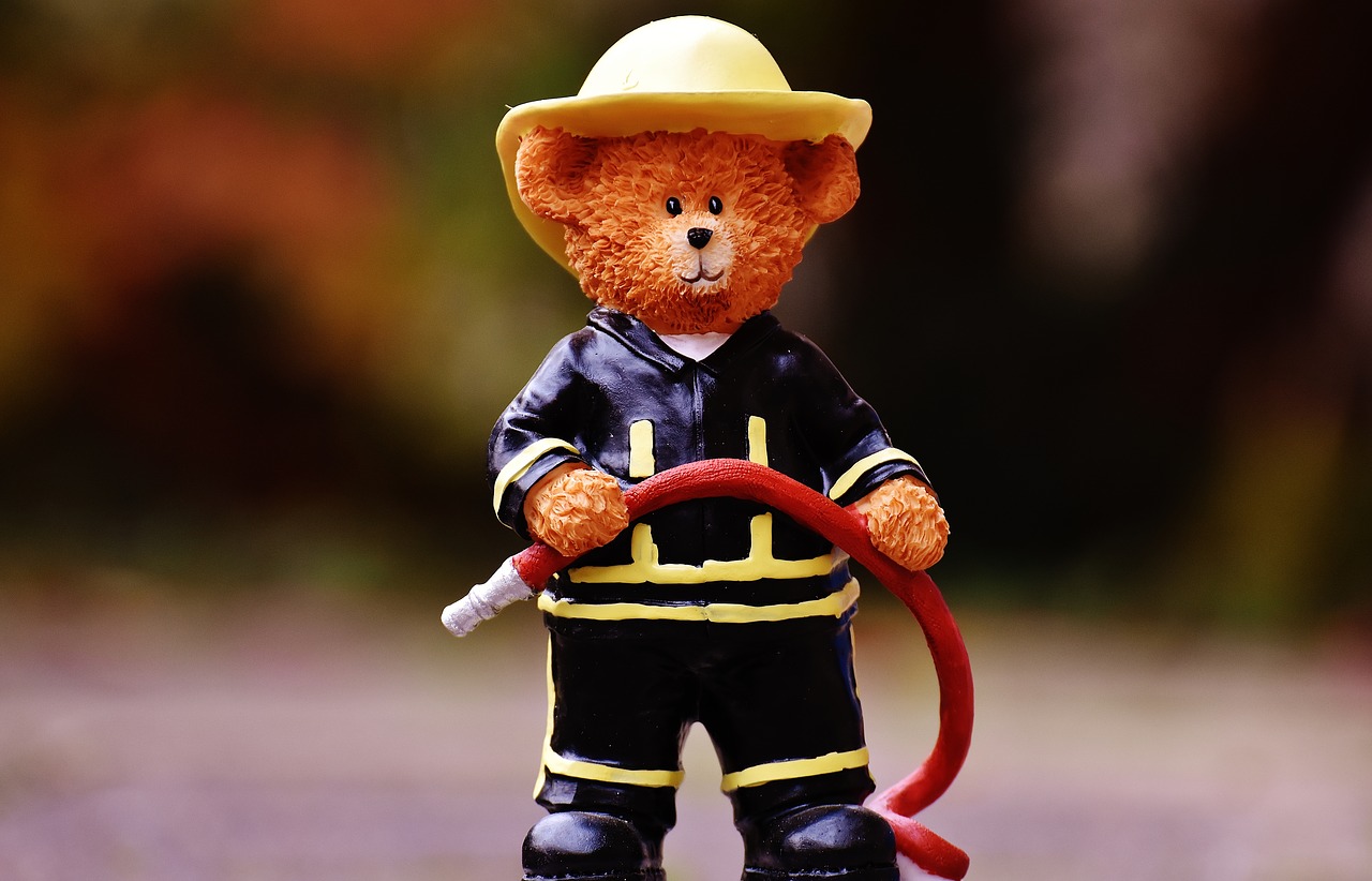 bear profession fire fighter free photo