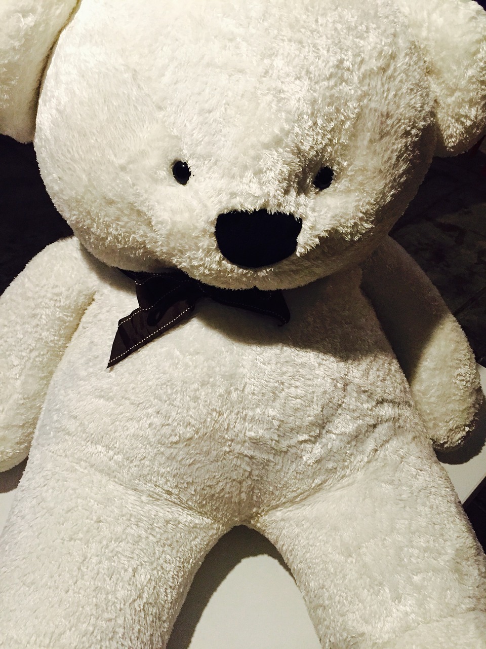 bear stuffed toy teddy bear free photo