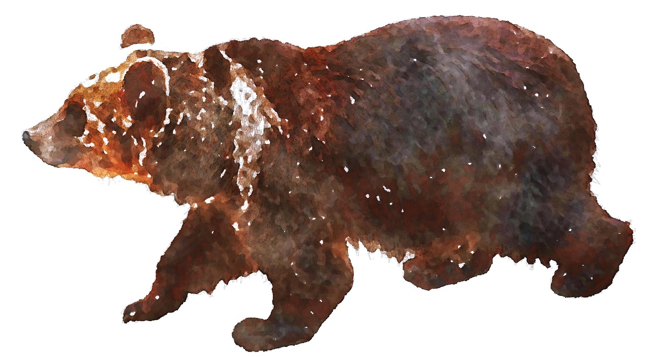 bear savage beast watercolor free photo