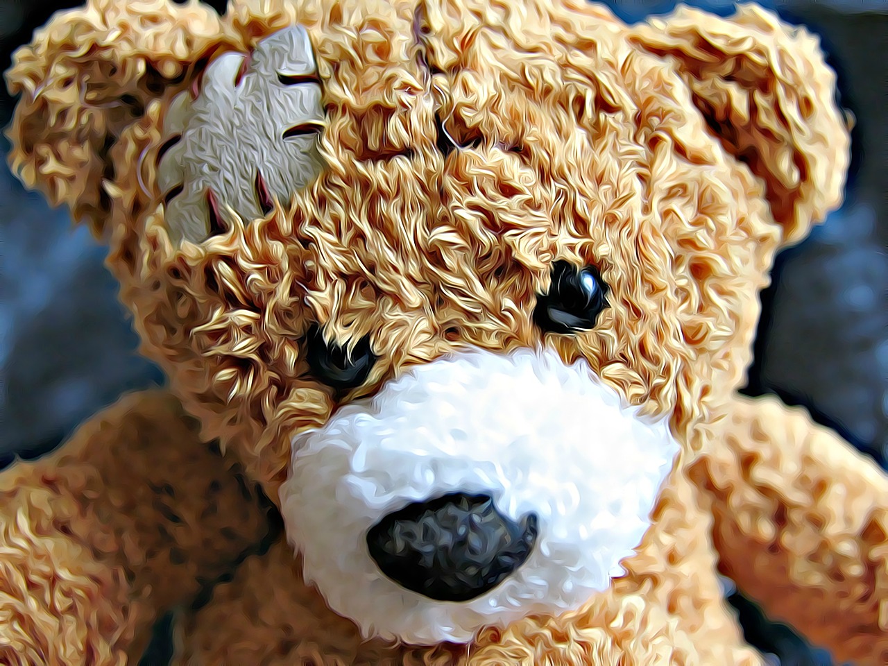 bear teddy bear injury free photo
