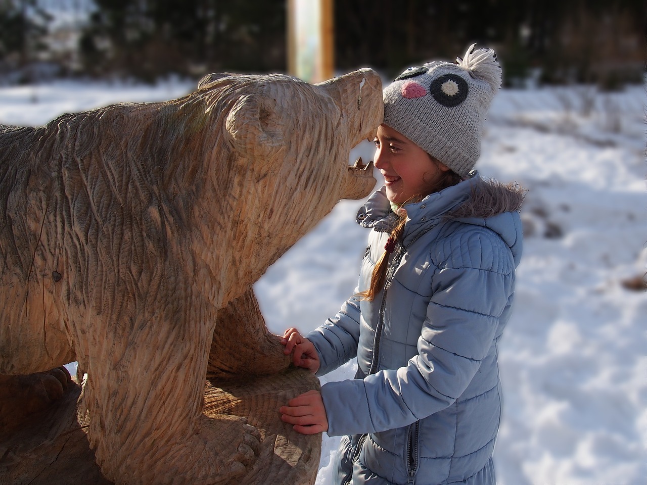 bear nature snow free photo