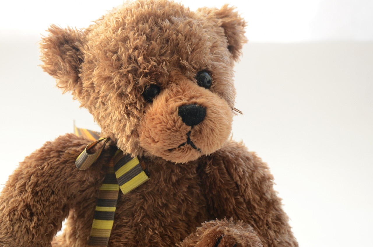 bear teddy toy free photo