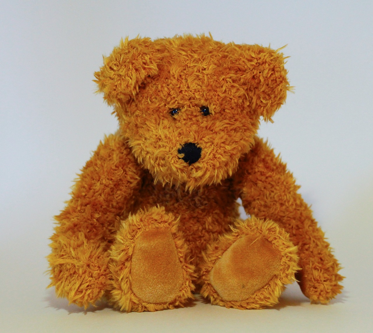 bear teddy bear toys free photo