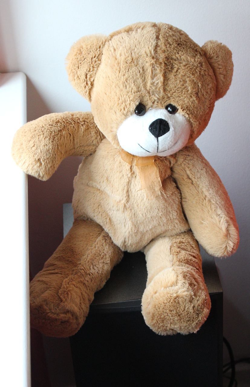 bear teddy toy free photo