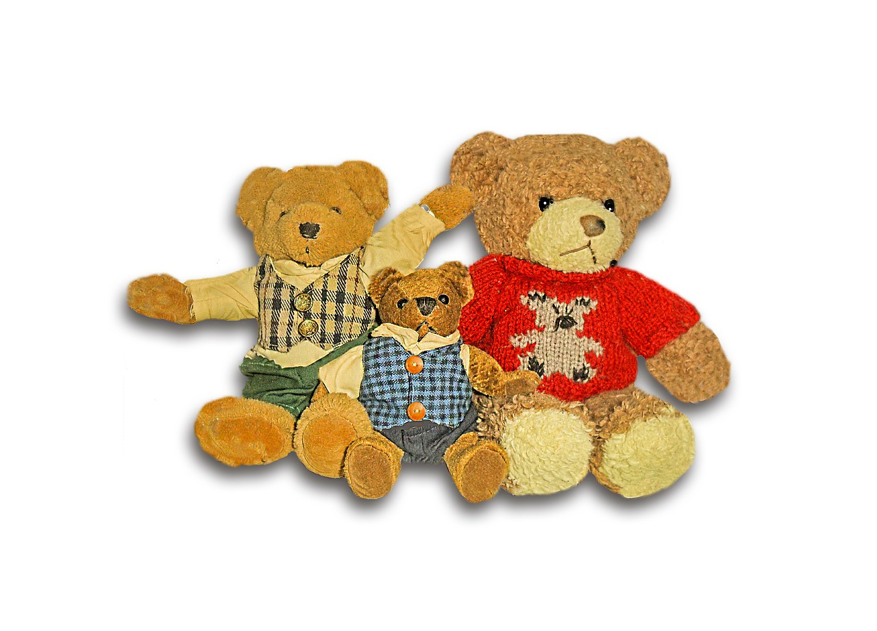 bear children toys bear family free photo