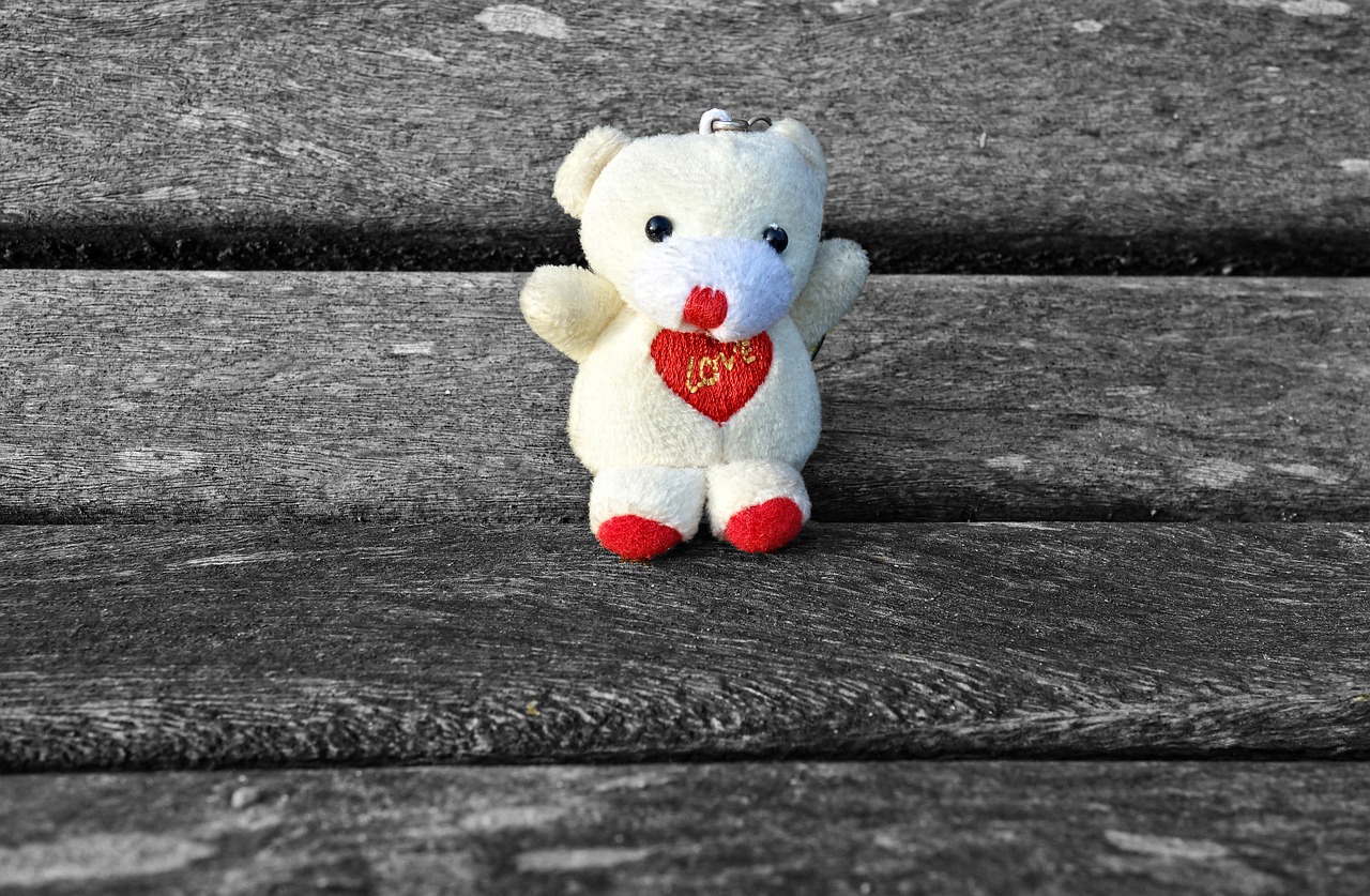 bear cuddly toy stuffed animal free photo