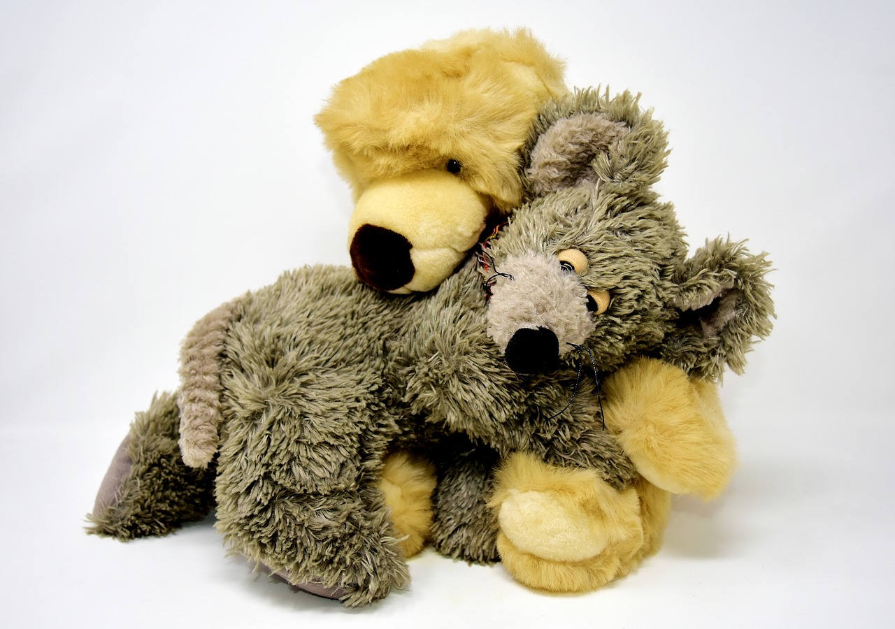 bear mouse soft toy free photo