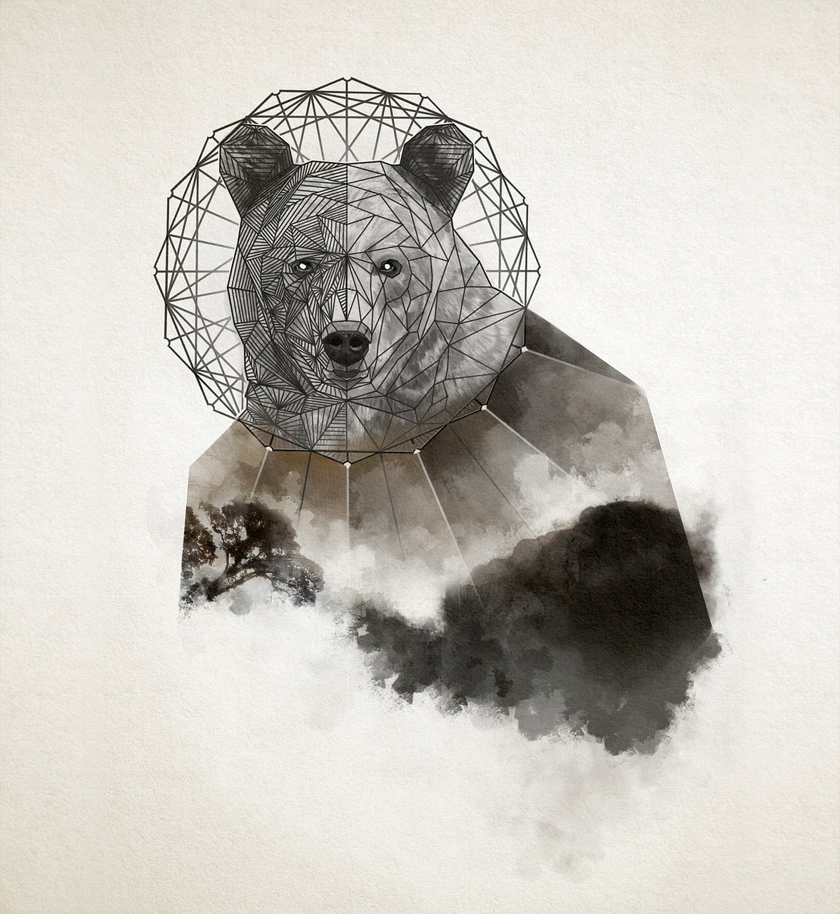 bear  geometric  animal free photo