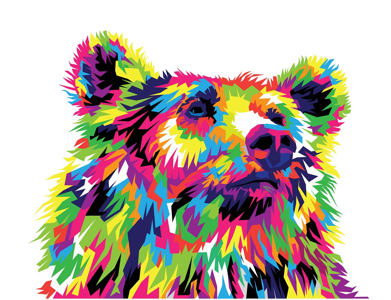 bear  bear design  animal free photo