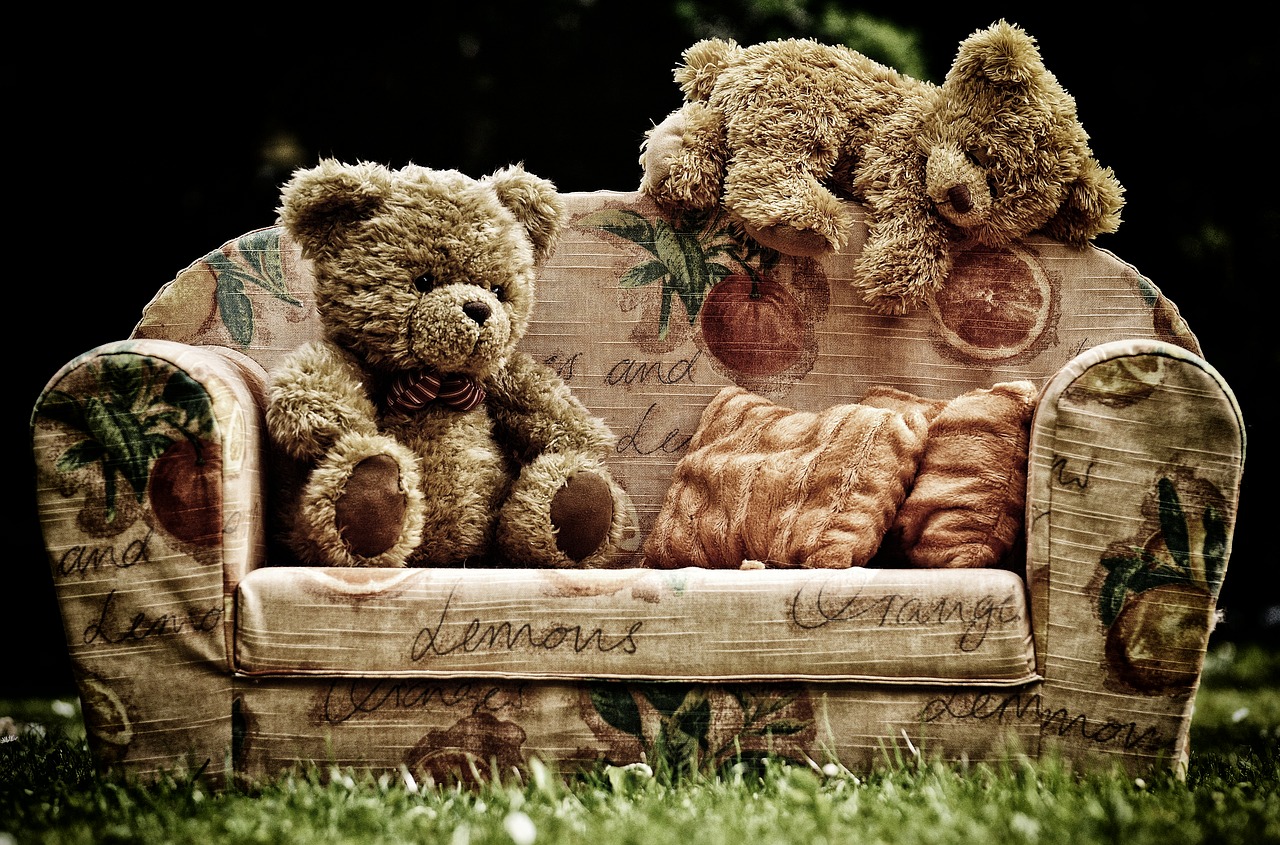 bear  sofa  bears free photo