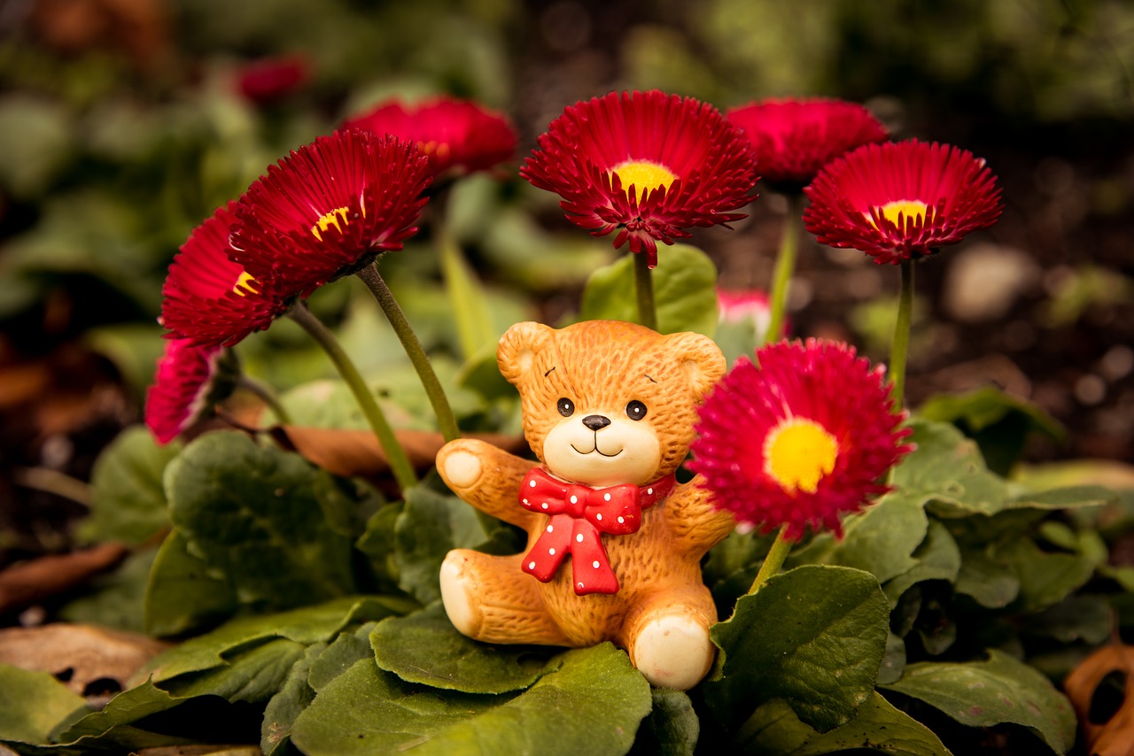 bear  toy  berries free photo