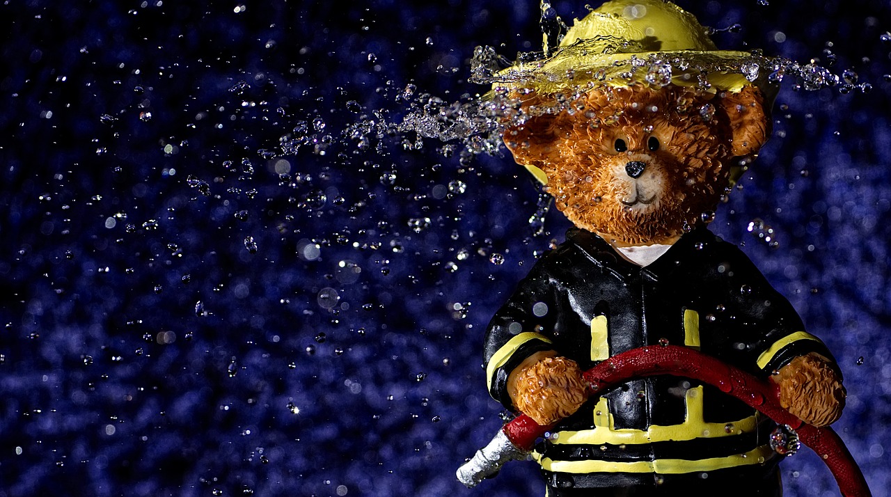 bear  fire fighter  water free photo