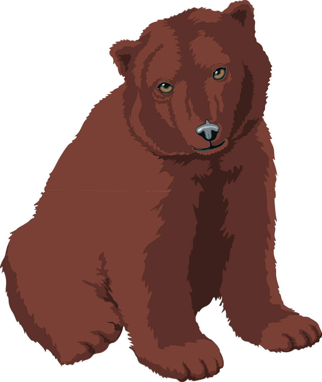 Bear Pardo Coffee Brown Bear Animals Free Image From