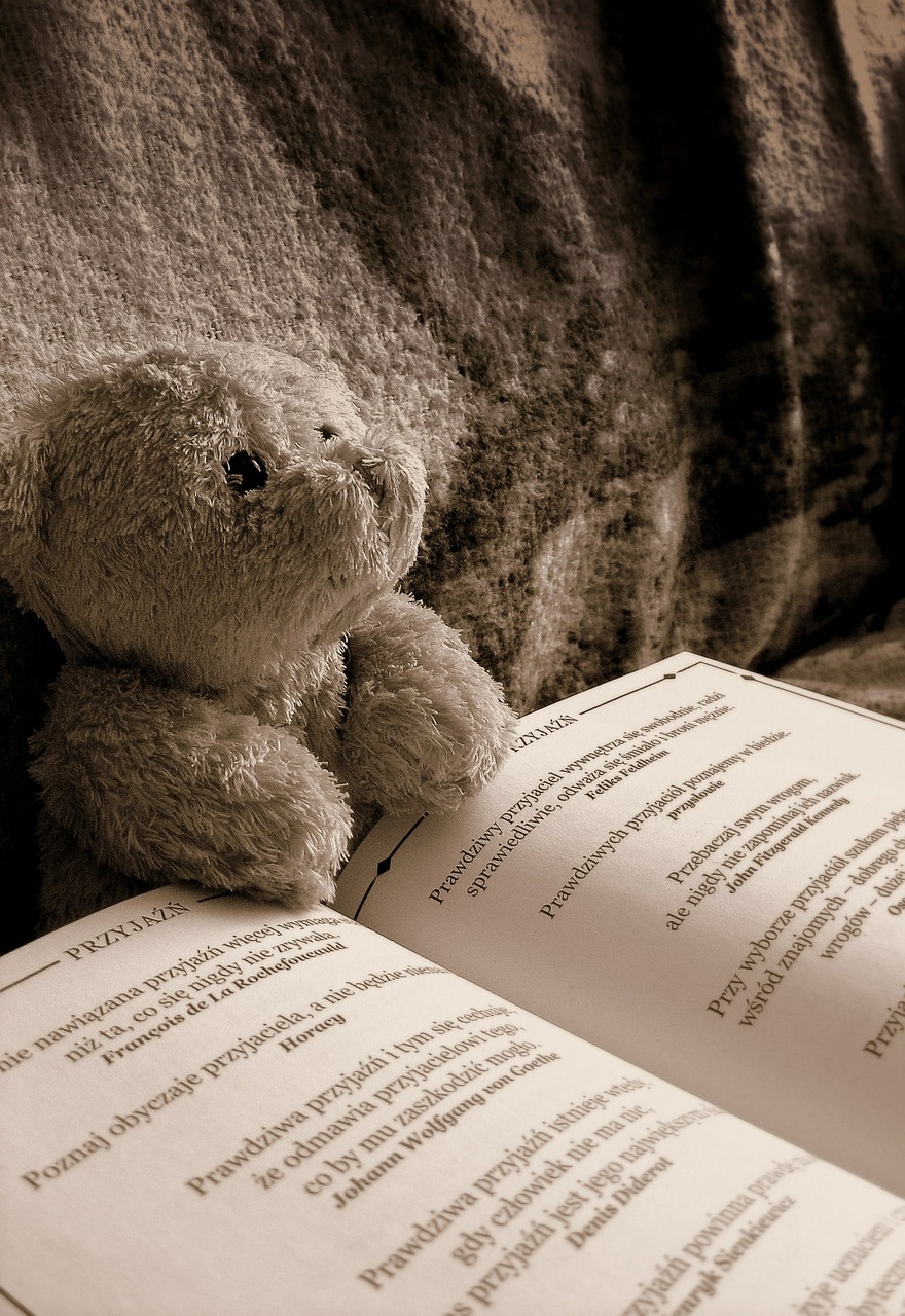 bear reading toy free photo