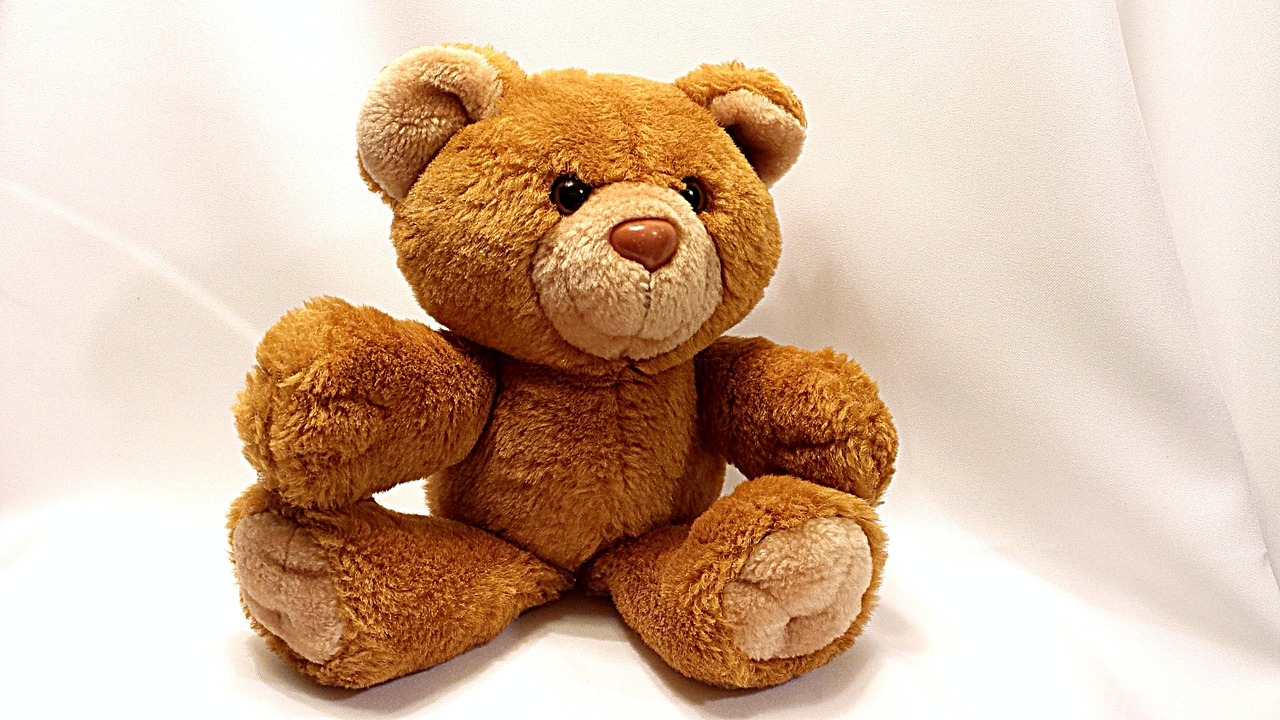 bear teddy toy free photo