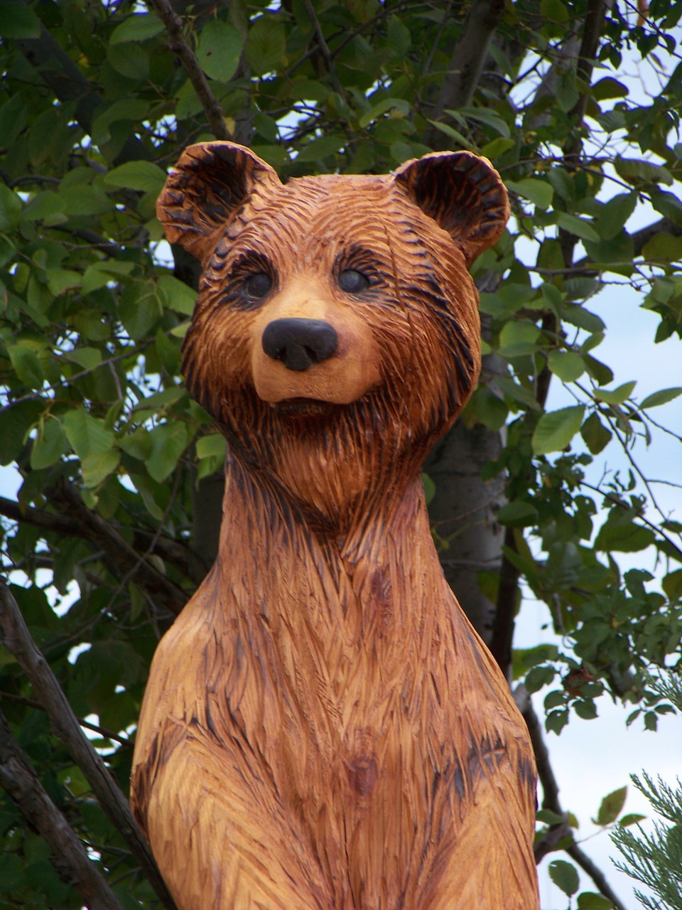 bear wooden statue free photo
