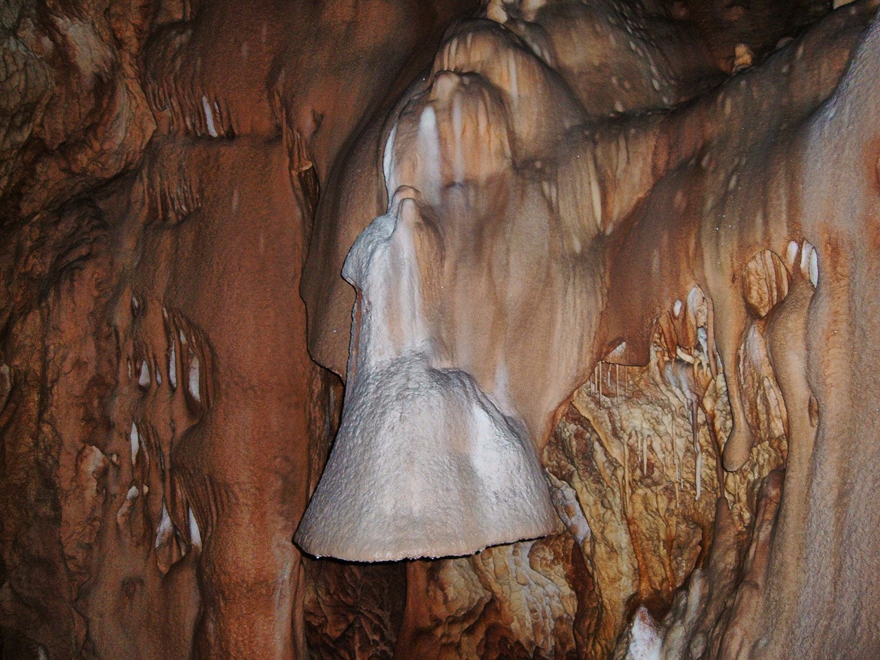 bear cave transylvania free photo