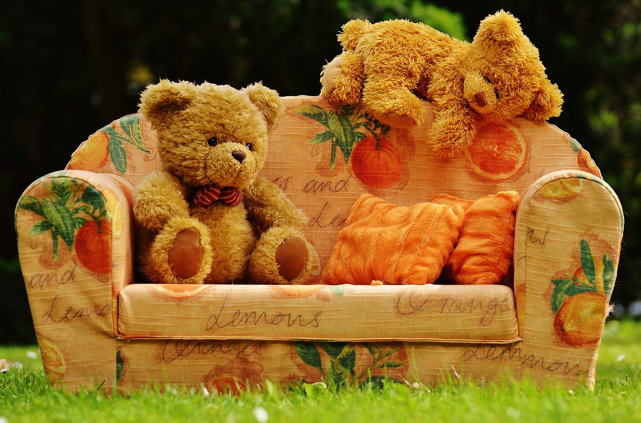 bear sofa bears free photo