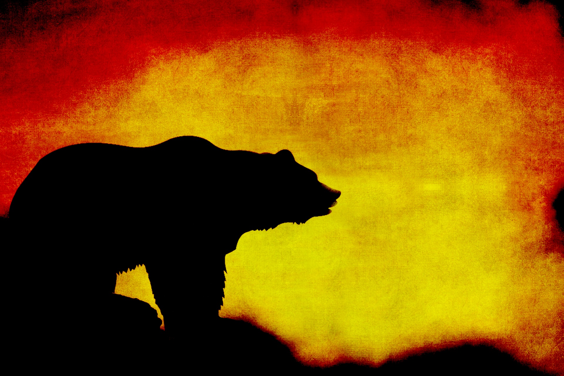 bear sunset silhouette free photo