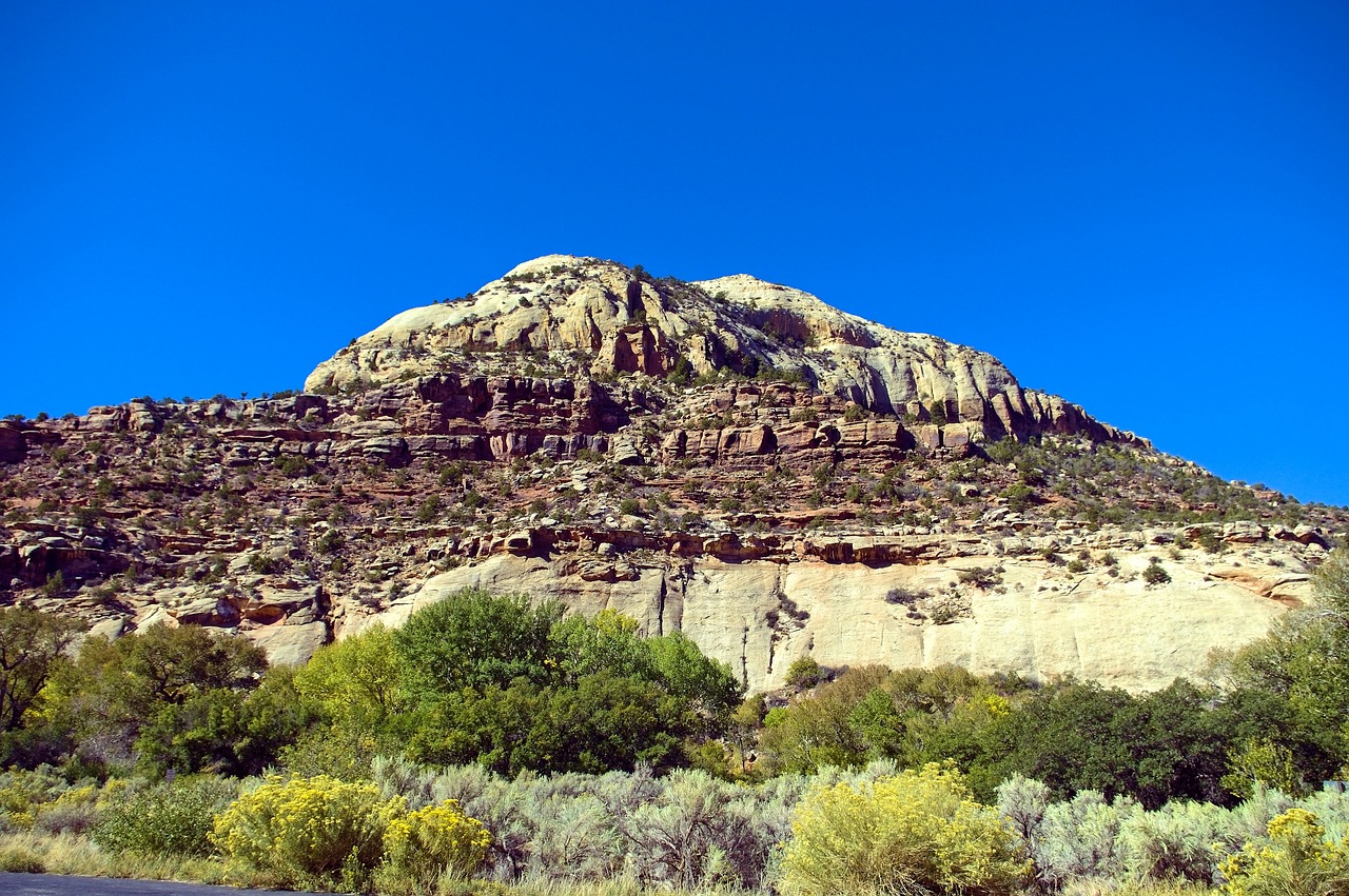 bear ears national monument  mountain  desert free photo