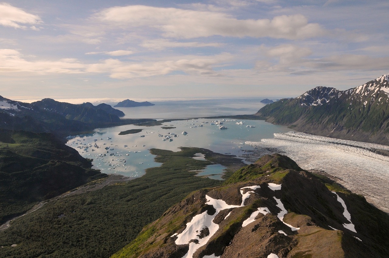 bear glacier landscape ocean free photo