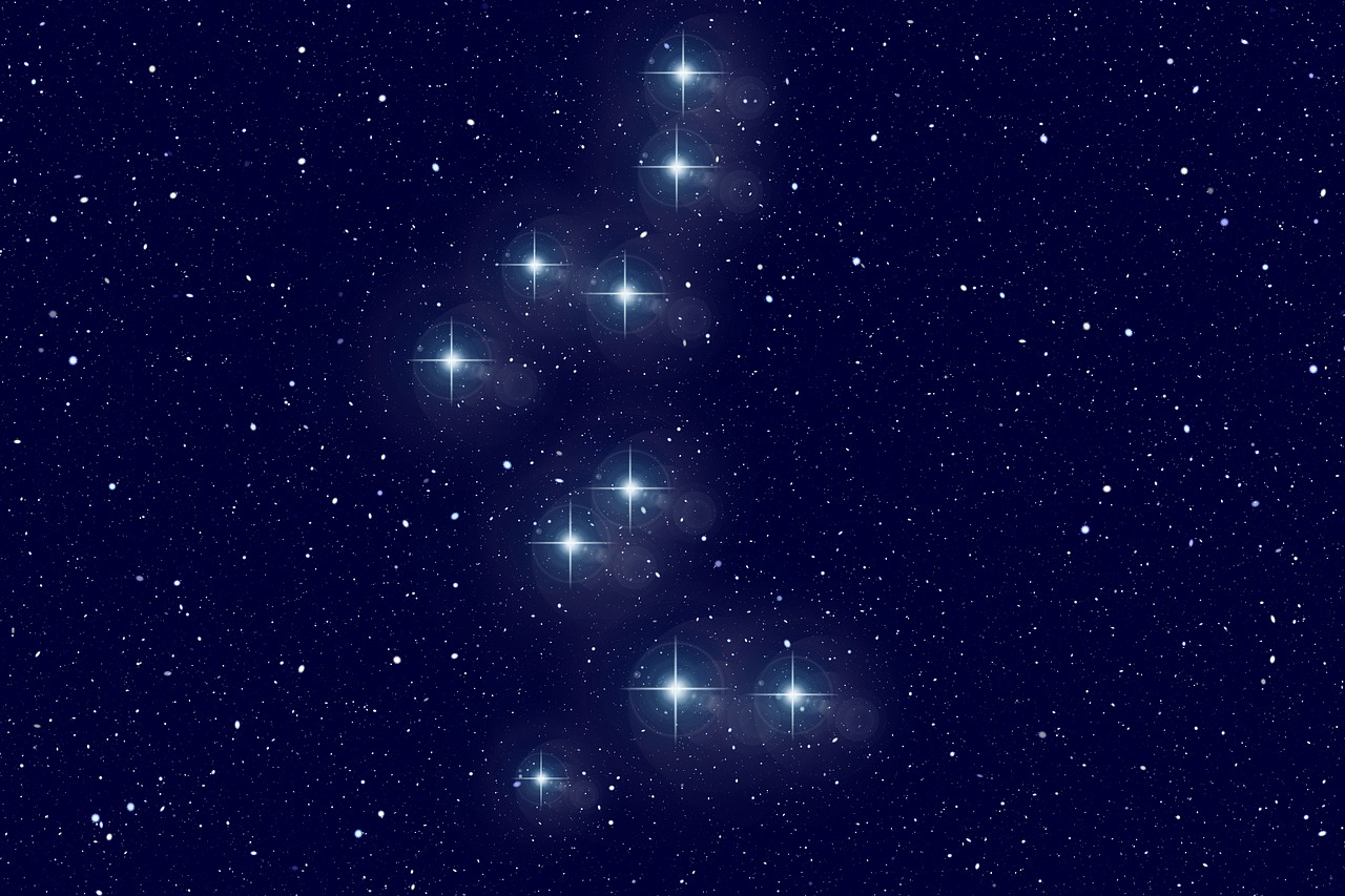 bear guardian star constellation free photo