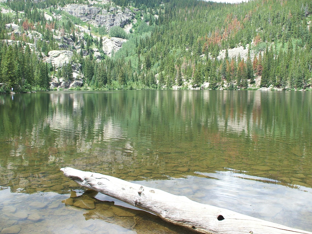 bear lake yellowstone park america free photo