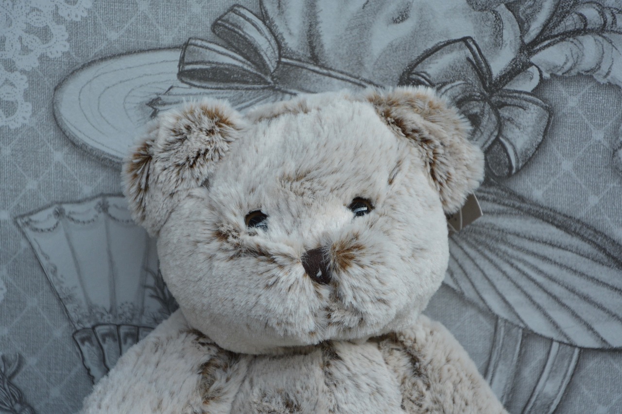 bear plush head doudou free photo