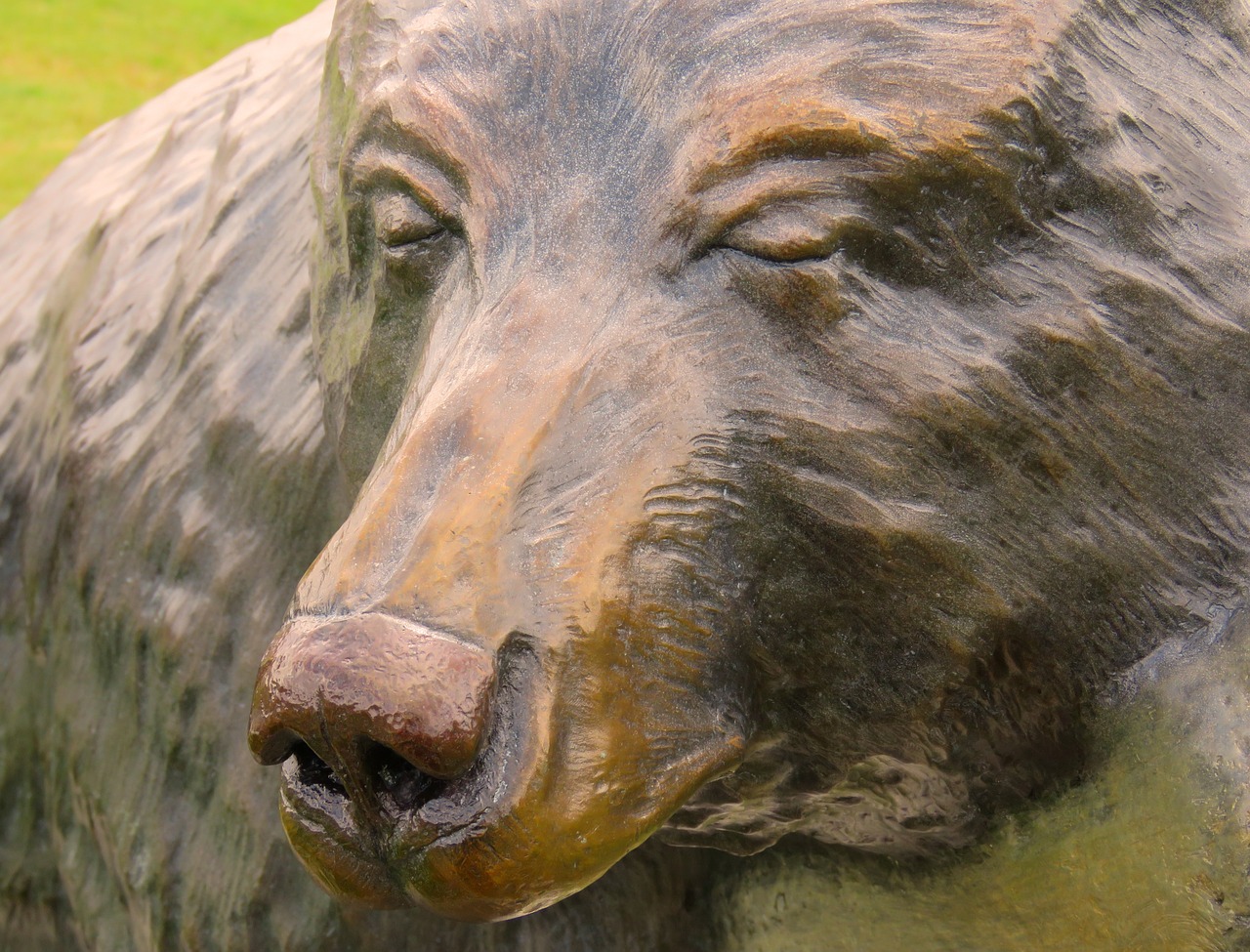 bear sculpture sculpture bear free photo