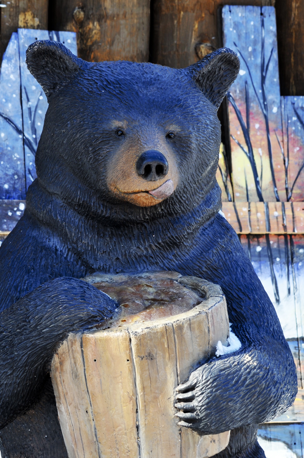 bear black bear honey pot free photo