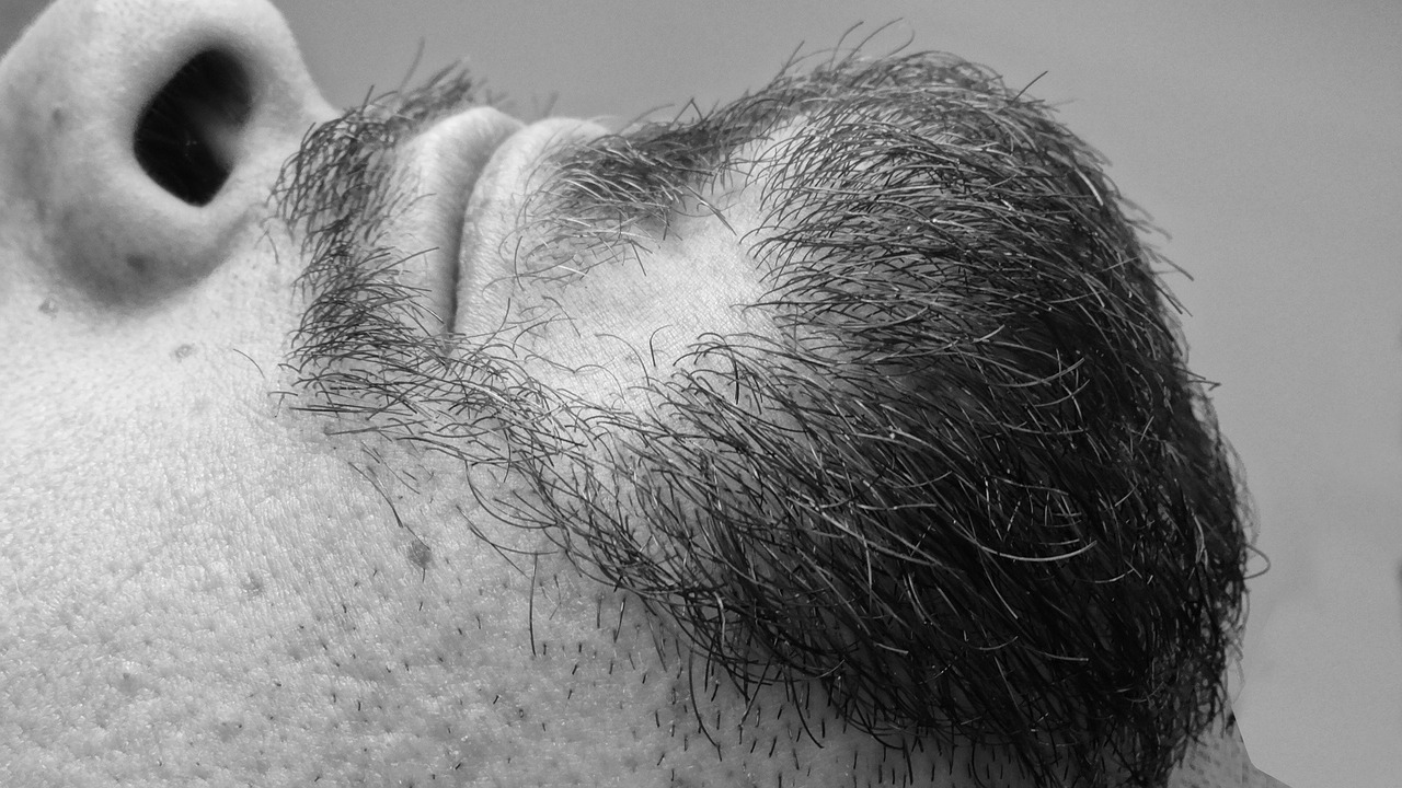 beard face lengthen free photo