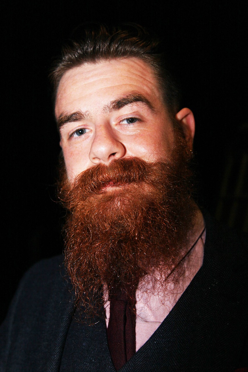 beard face male free photo