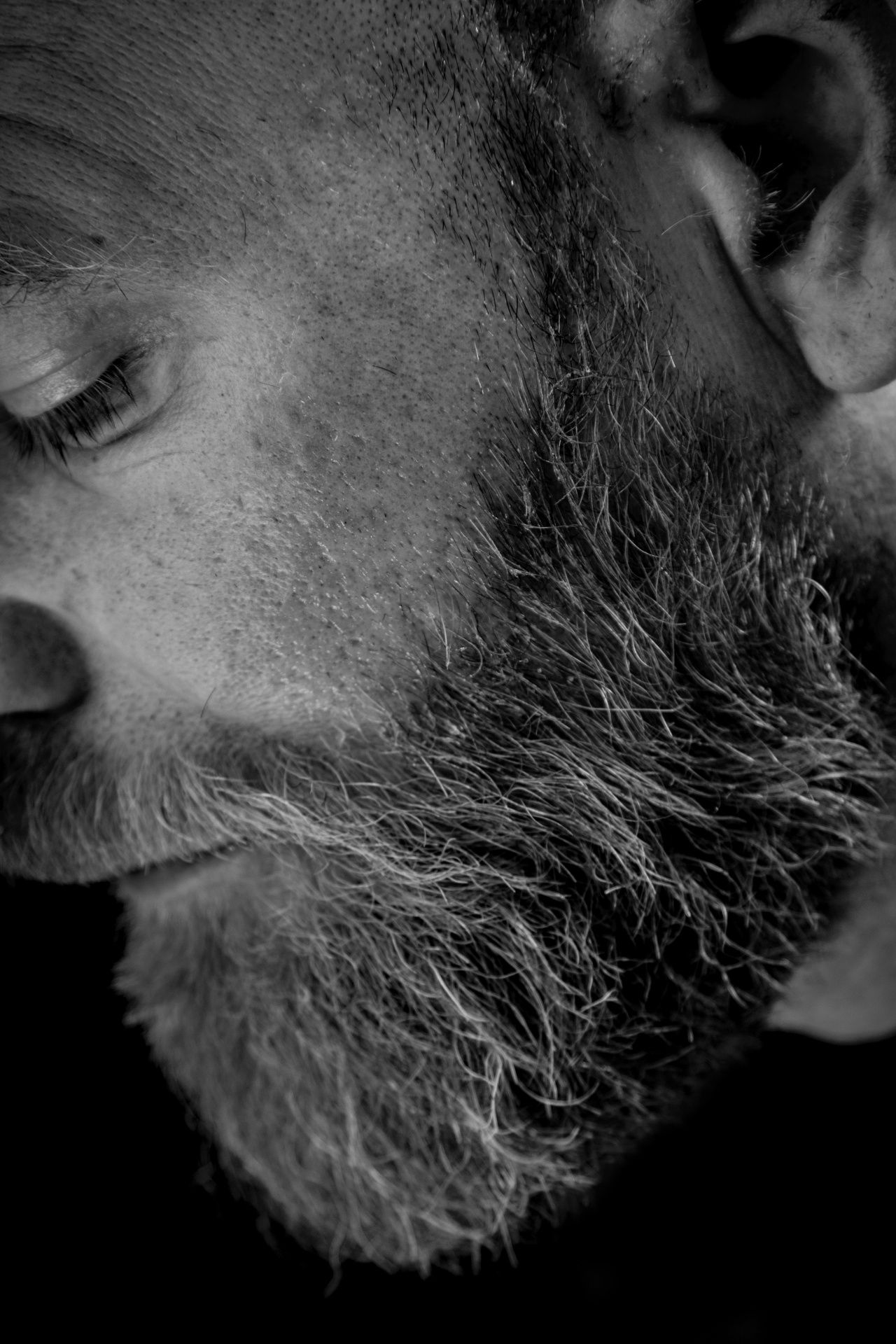 man beard bearded free photo