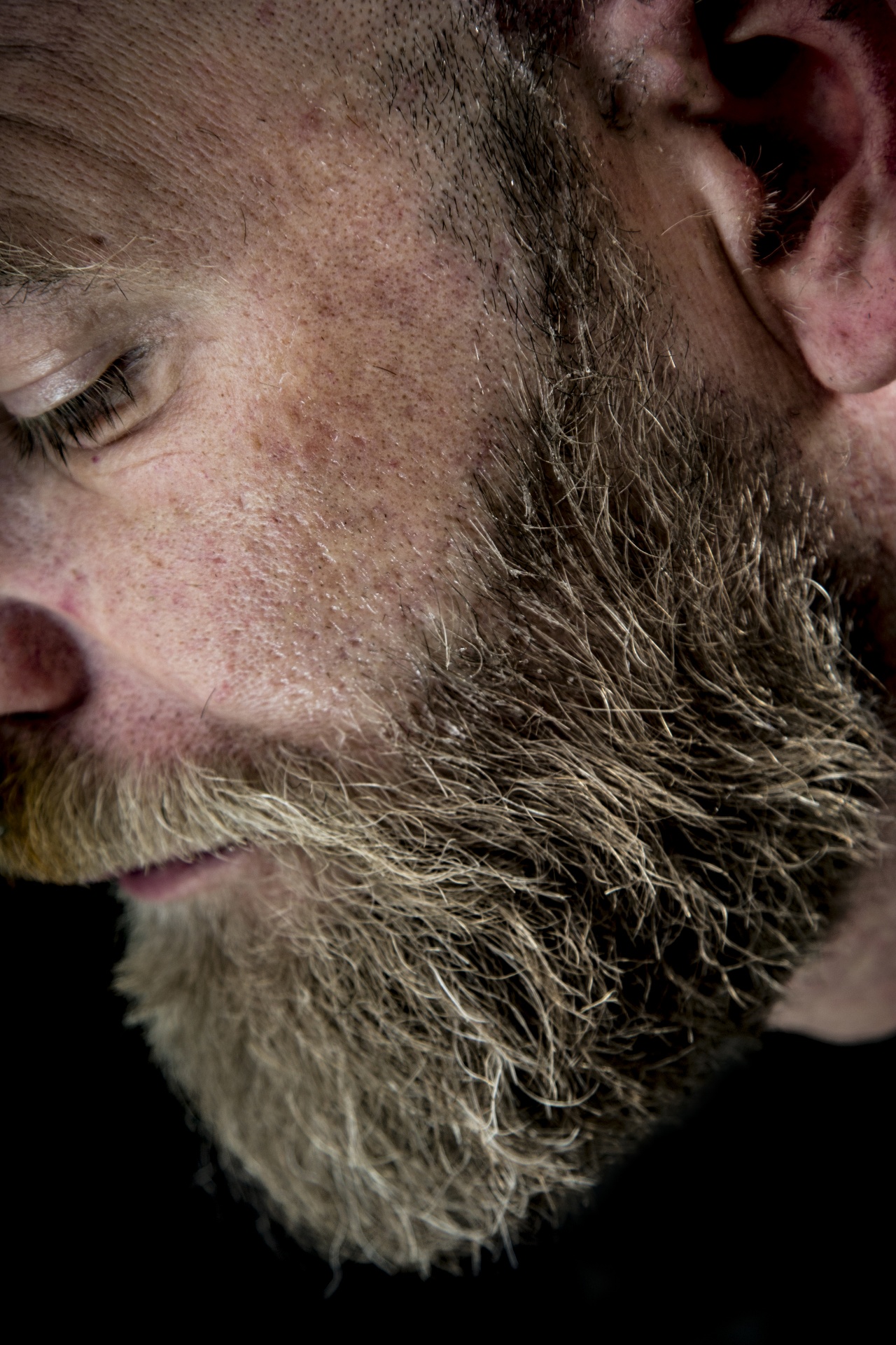 man beard bearded free photo
