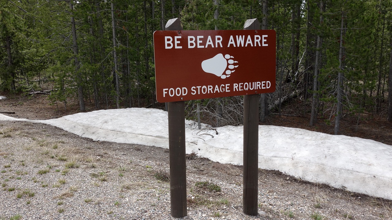 bears warning warning sign free photo