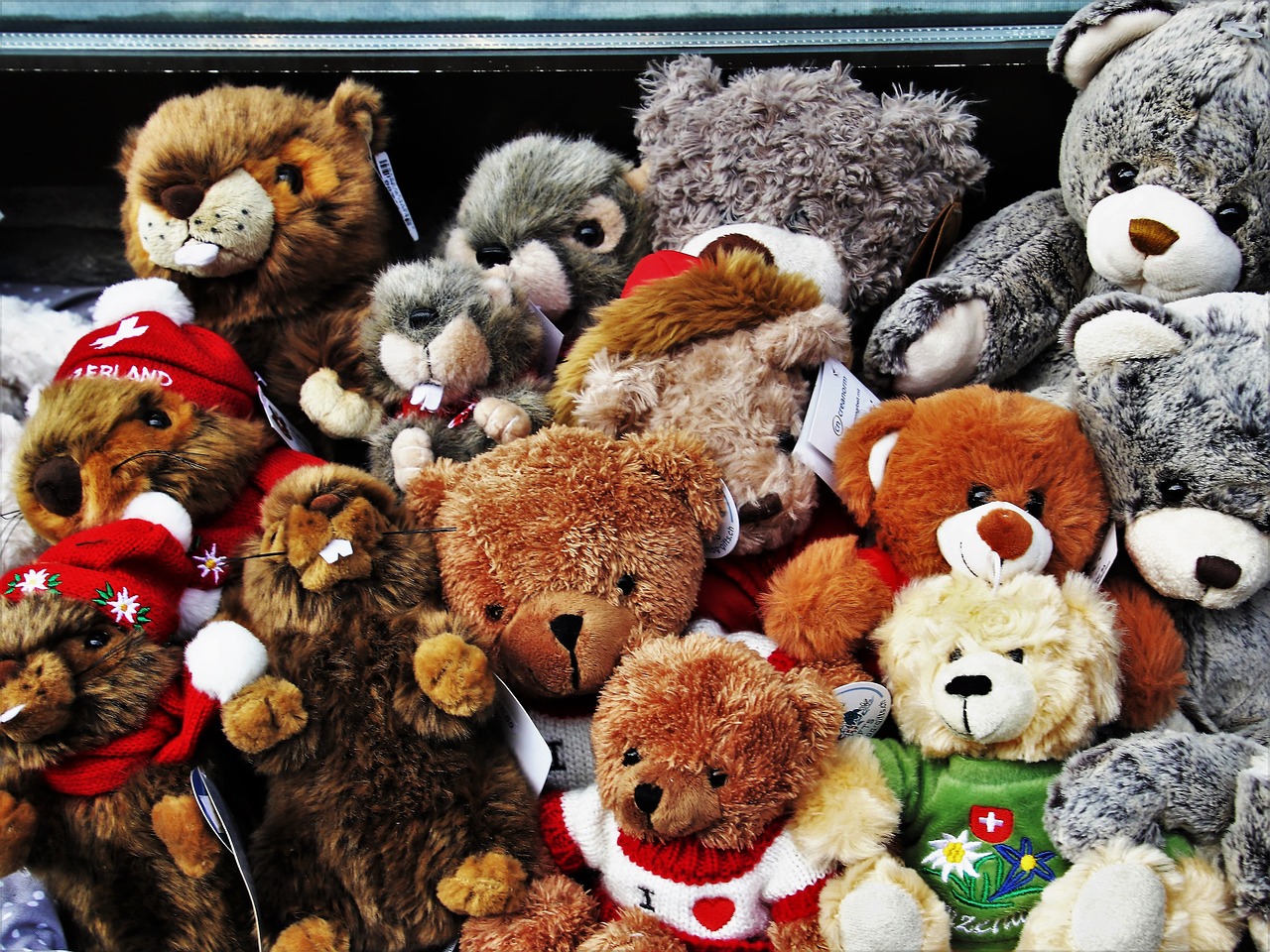 bears  plush  toy free photo