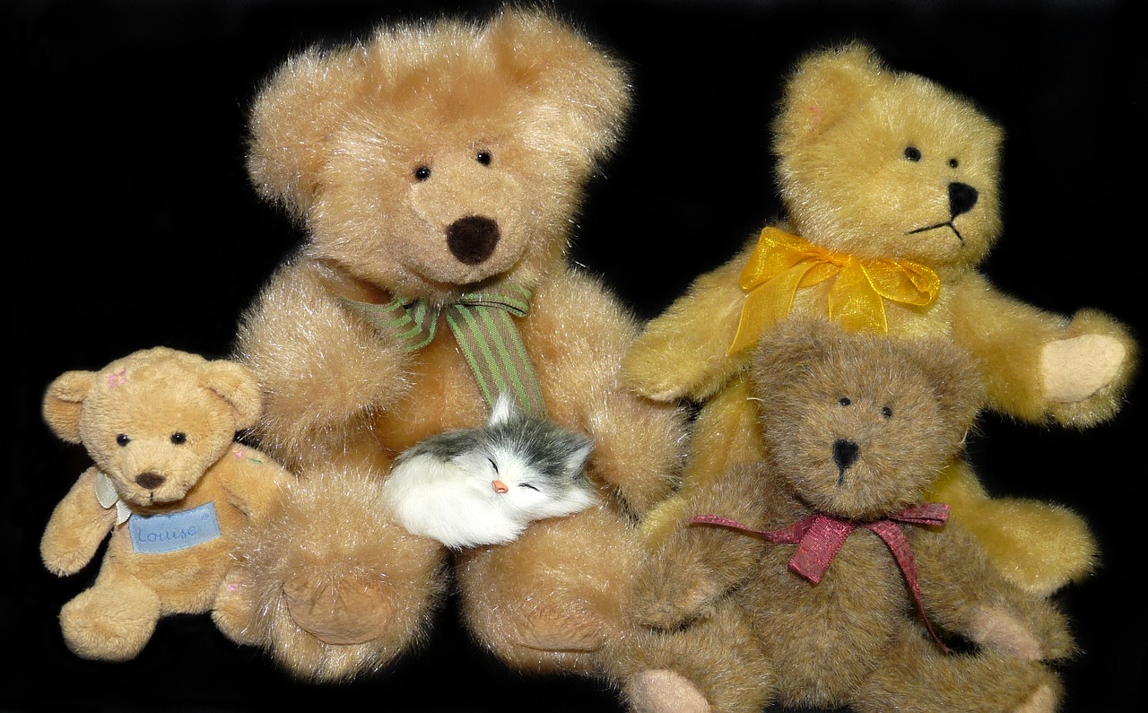 bears  teddies  toys free photo