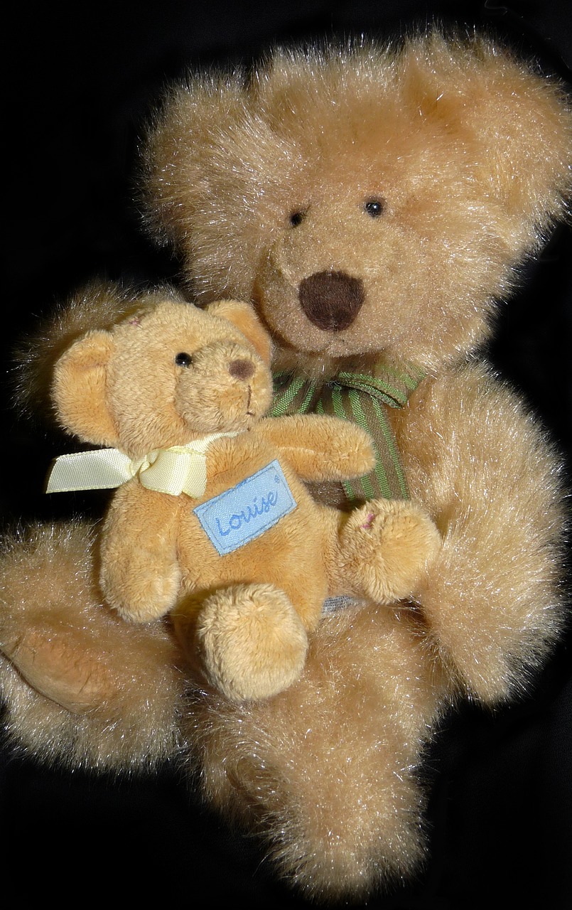 bears  teddies  cute free photo