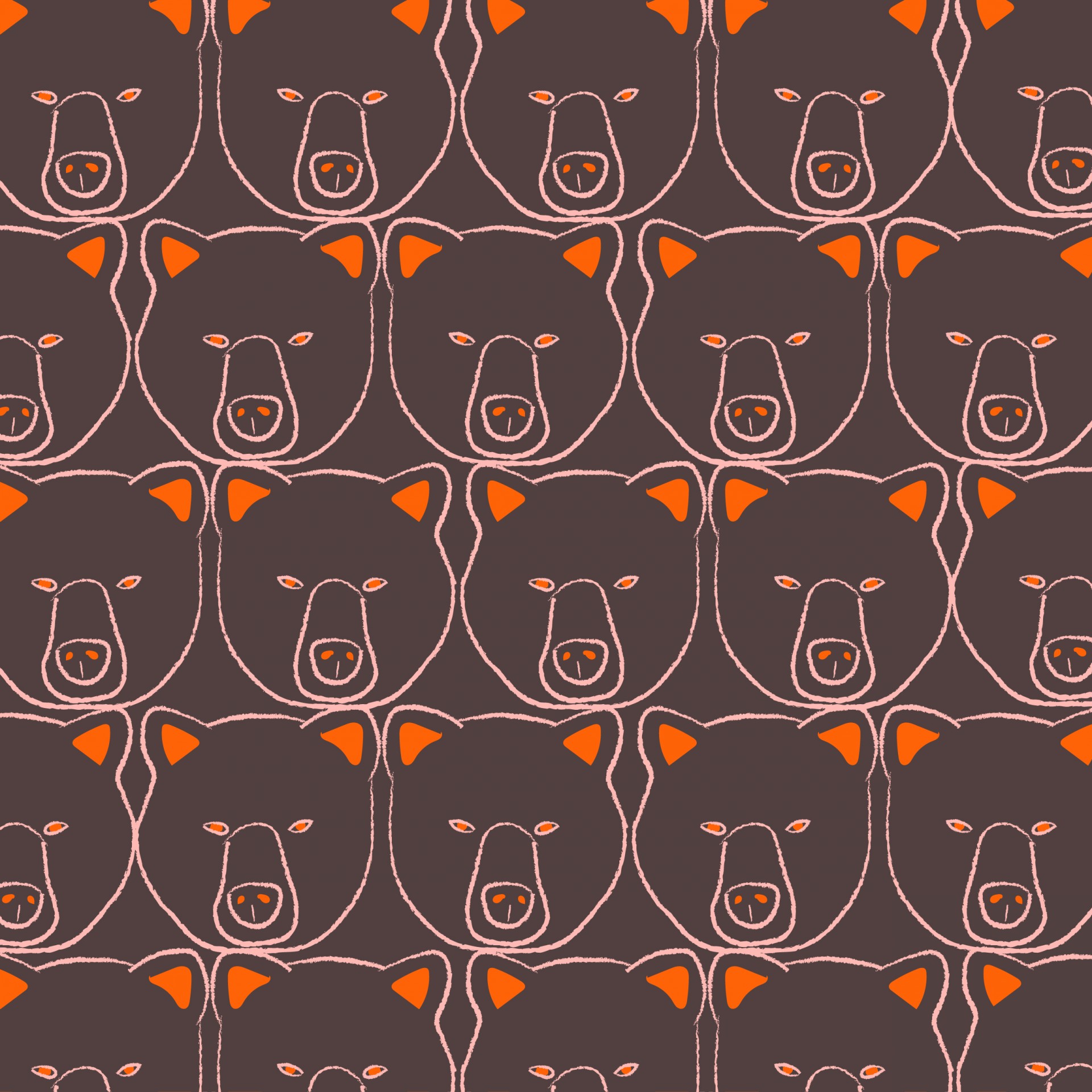 bear animal background free photo